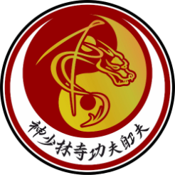 Logo DragonSpirit